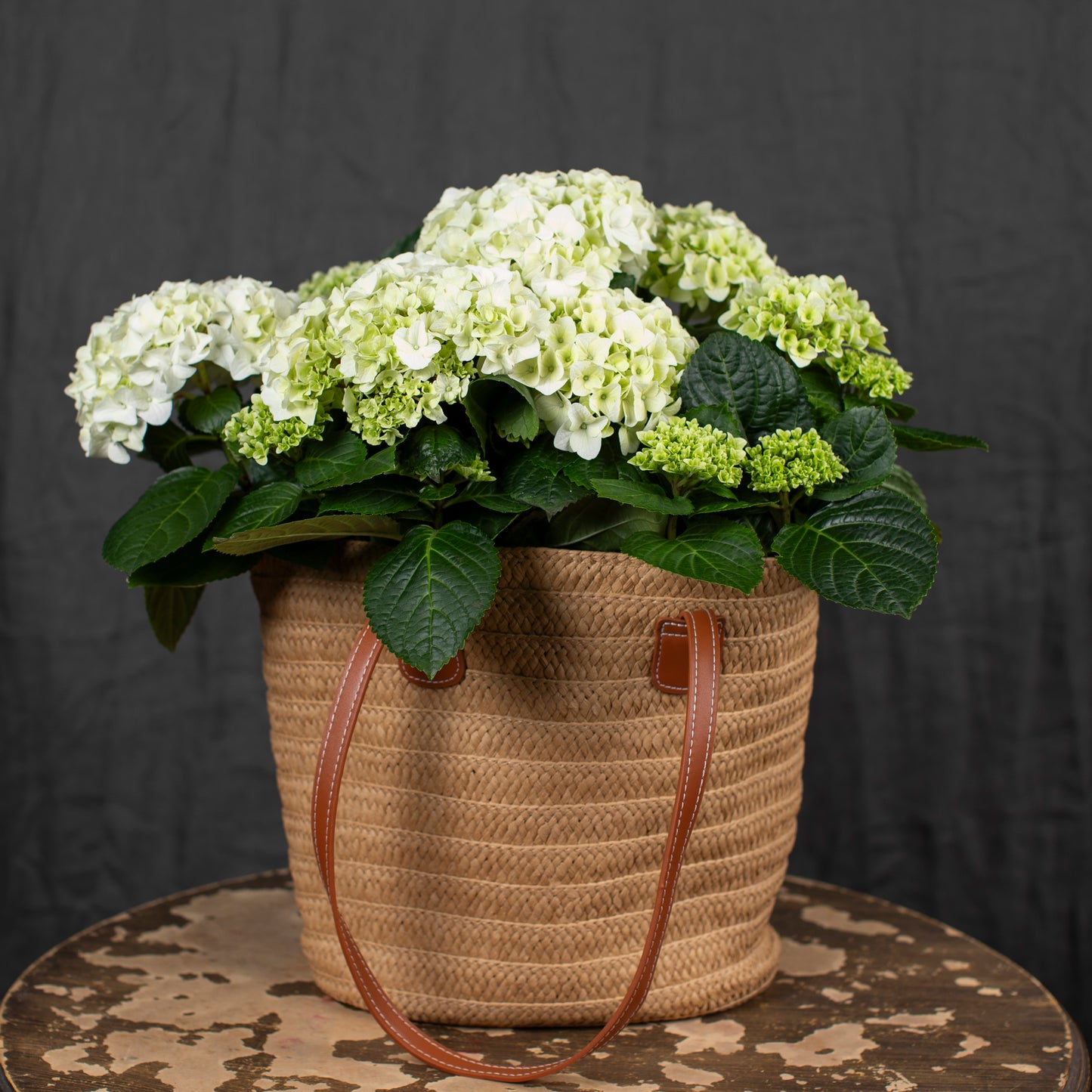 Hydrangeas displayed in straw shoulder bag.