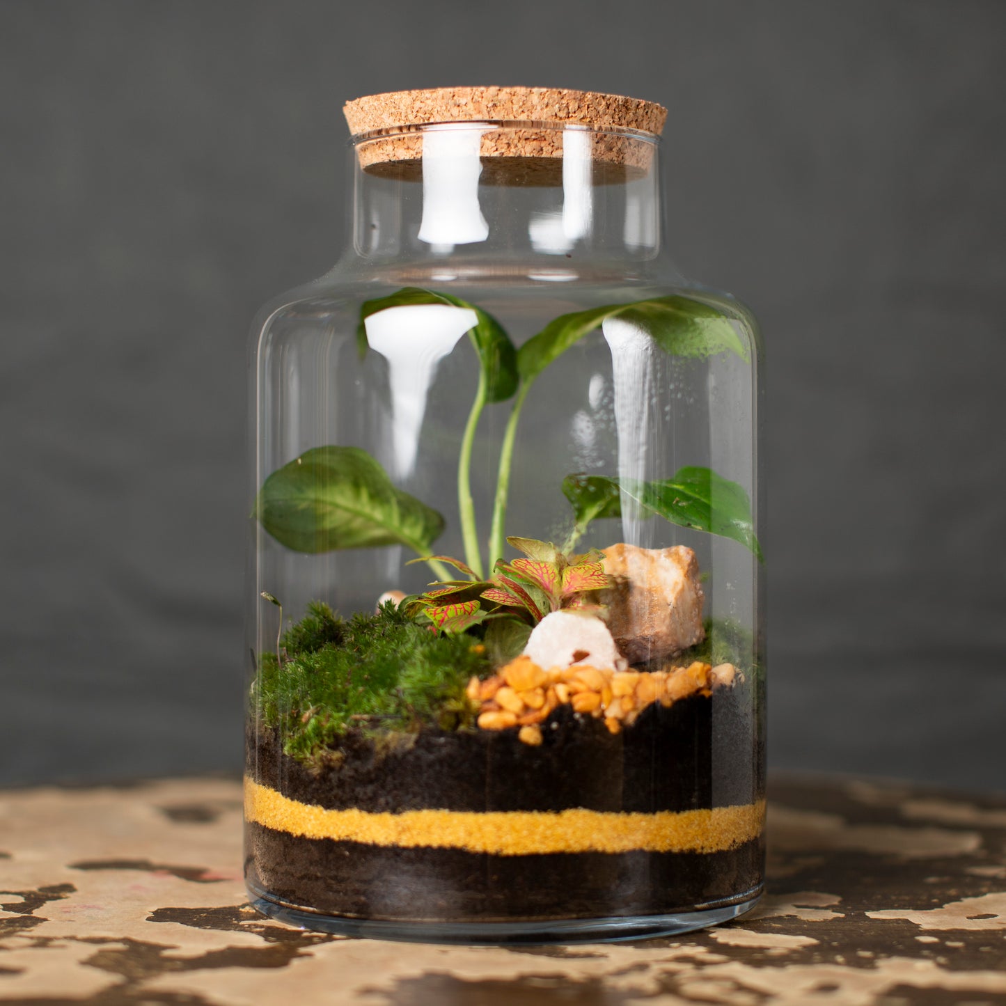 Terrarium