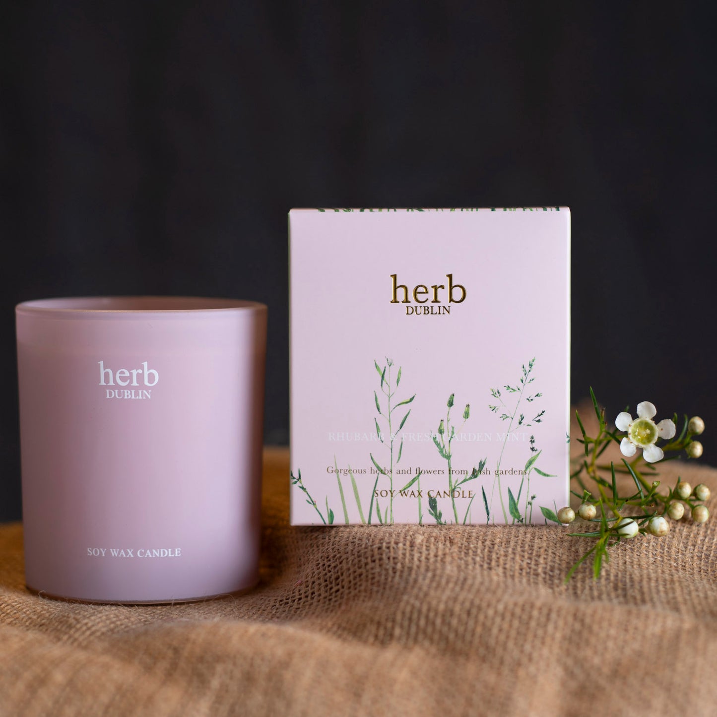 Herb Dublin boxed Candle