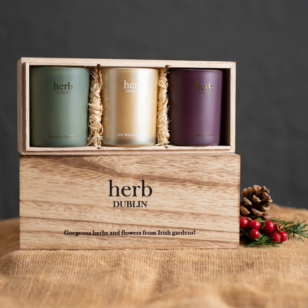 Herb Dublin Christmas Trio Candle Box