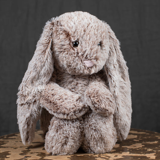Teddy - Tall Bunny Rabbit