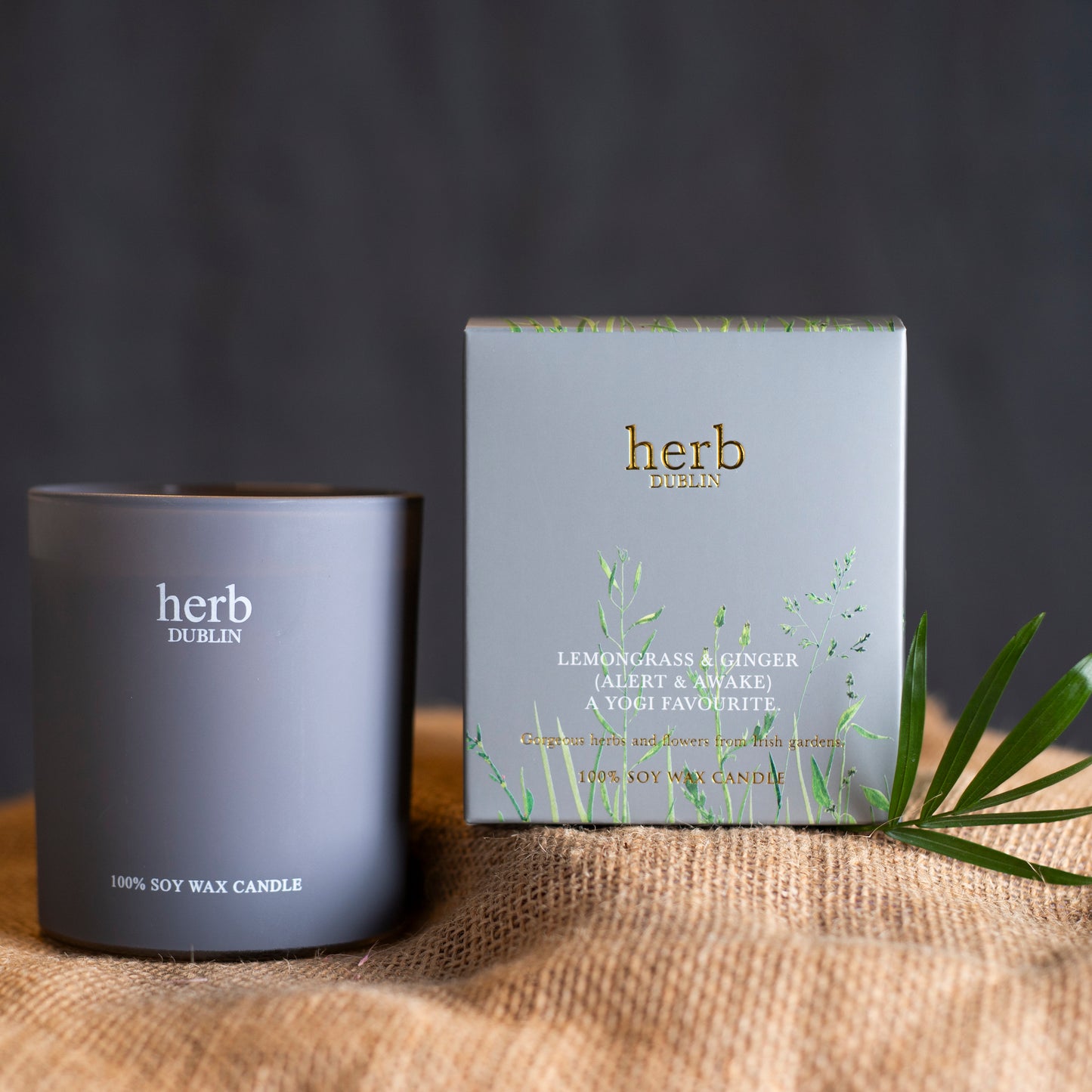 Herb Dublin boxed Candle