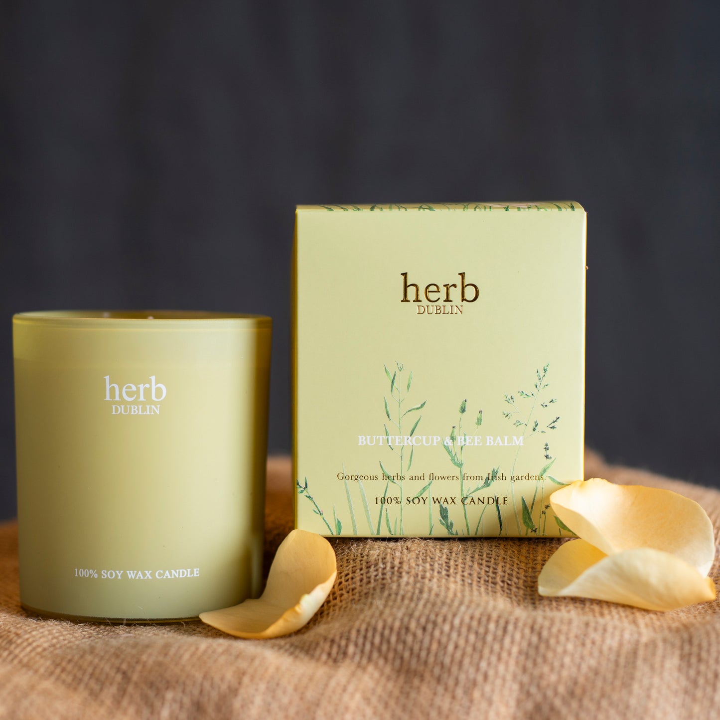 Herb Dublin boxed Candle