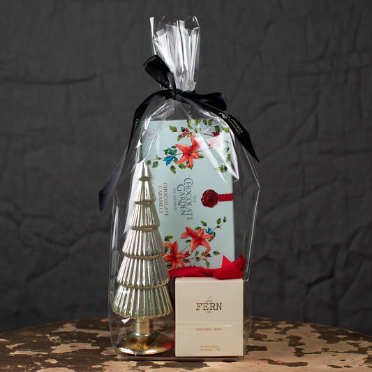 Christmas Gift bag - small