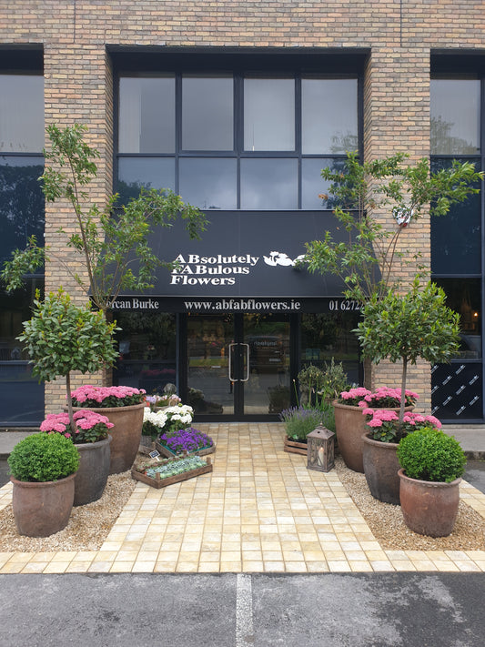 Absolutely Fabulous Flowers Giftcard