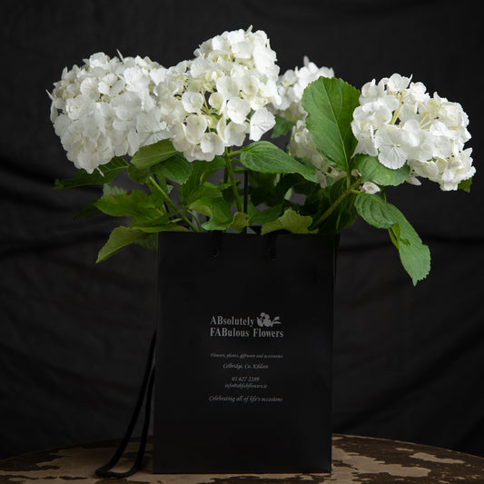 Gift wrapped hydrangea by Ab Fab Flowers